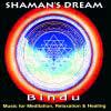Shaman’s Dream: Bindu